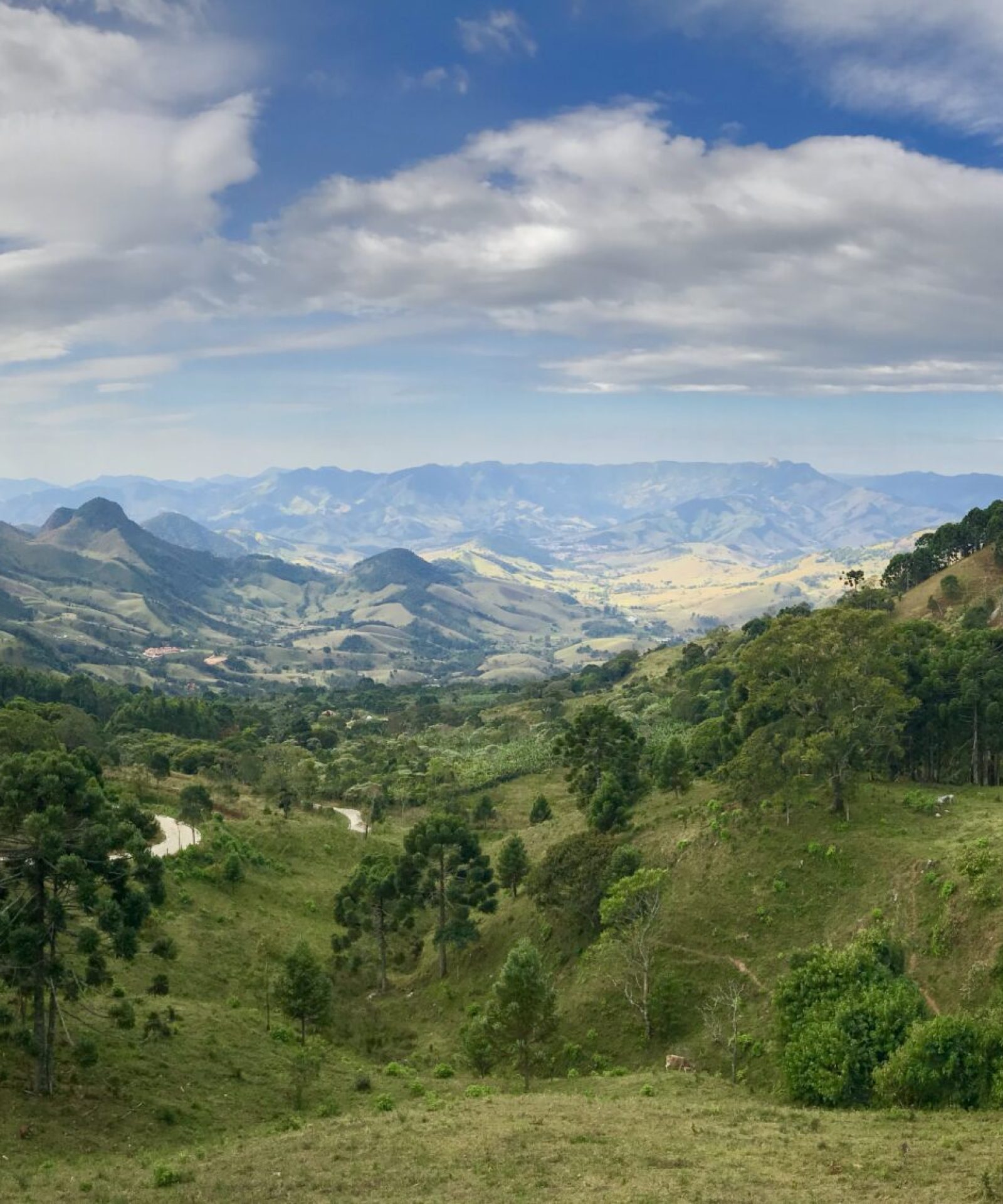 gonçalves