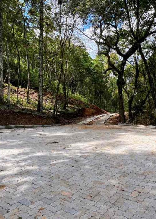 obras vdm2-6